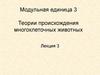 Модульная единица 3. Теории происхождения многоклеточных животных