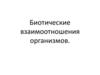 Биотические взаимоотношения организмов