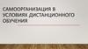 Самоорганизация в условиях дистанционного обучения
