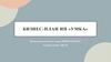 Организация детского развивающего центра в городе Ростов-на-Дону. Бизнес-план ИП "Умка"