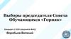 Выборы председателя Совета Обучающихся «Горняк»