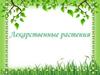 Лекарственные растения