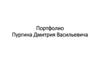 Портфолио Пургина Дмитрия Васильевича