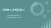 ООО «Дождь». Бухгалтерские и аудиторские услуги
