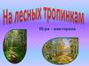 На лесных тропинках. Игра-викторина