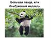 Большая панда, или бамбуковый медведь