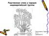 Родственные слова у народов индоевропейской группы