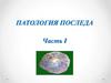 Патология последа