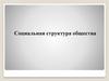 Социальная структура общества. Большие и малые группы