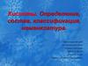 Кислоты. Определение, состав, классификация, номенклатура