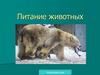 Питание животных