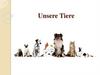 Unsere Tiere