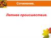 Летнеее происшествие. Сочинение