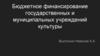 Бюджетное финансирование государственных и муниципальных учреждений культуры
