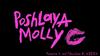 The youth group from Ukraine “Poshlaya Molly"