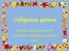 Собирание цветов