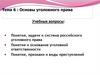 Основы уголовного права