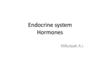 Endocrine system hormones