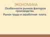 Экономика. Особенности рынков факторов производства