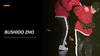 Bushido Zho