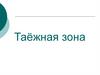 Таёжная зона