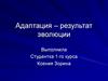 Адаптация – результат эволюции
