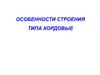 Тип хордовые. Особенности строения