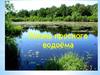 Жизнь пресного водоёма