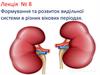 Особливості системи виділення в людей різних вікових періодів (Лекція № 8)