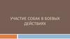 Участие собак в боевых действиях