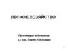 Лесное хозяйство