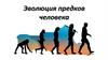 Эволюция предков человека. Лекция 29