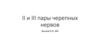 Вторая и третья пары черепных нервов