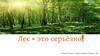 Лес - это серьёзно!