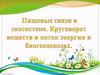Пищевые связи в экосистеме. Круговорот веществ и поток энергии в биогеоценозах