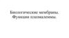 Биологические мембраны. Функции плазмалеммы