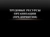 Трудовые ресурсы организации. Принципы работы в трудовом коллективе