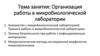 Организация работы в микробиологической лаборатории