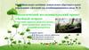 Экологический исследовательский проект «Зелёный огород»