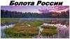 Болота России