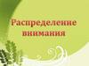 Распределение внимания