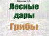 Грибы. Альбом для детей 5-7 лет