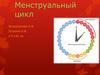 Менструальный цикл