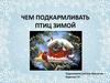 Чем подкармливать птиц зимой
