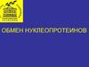 Обмен нуклеопротеинов