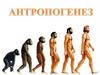 Антропогенез. Доказательства антропогенеза