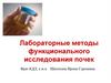 Лабораторные методы функционального исследования почек