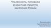 Численность, половая и возрастная структура населения России