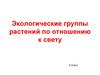 Экологические группы растений по отношению к свету