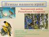 Птицы нашего края